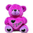 45Cm Heart Teddy Bear With I love U Msg-Purple only in Bigswipe