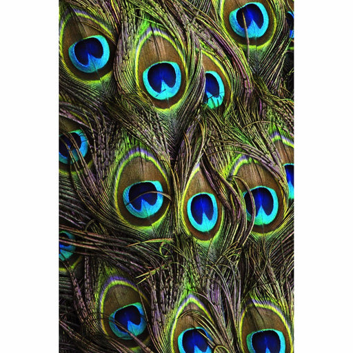 Printed Mobile Case Cover for XIAOMI REDMI A1