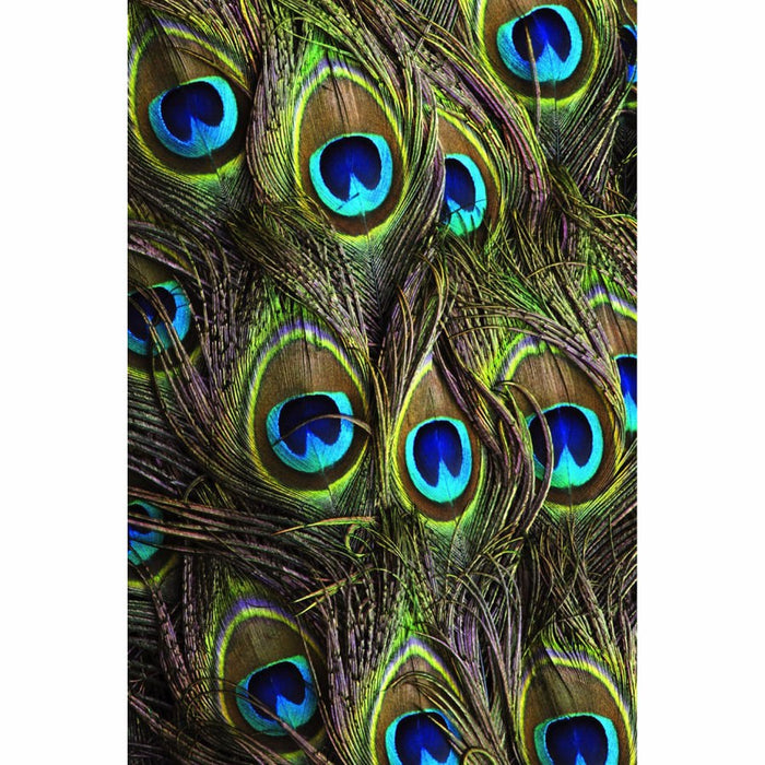 Printed Mobile Case Cover for SAMSUNG A5