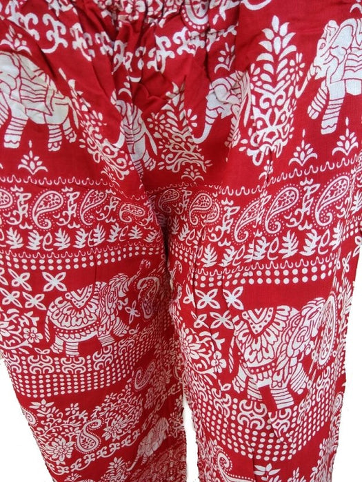 Rajasthani Printed Palazzo Pant