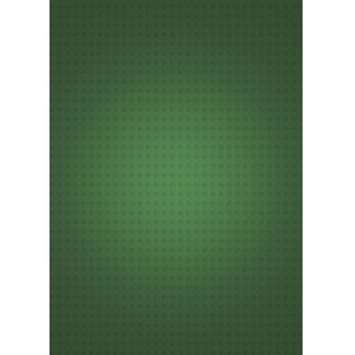 Printed Mobile Case Cover for VIVO V3